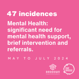 47 Incidences - Mental Health: significant need for mental health support, brief intervention and referrals.